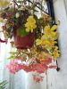 IMG_20190608_135235.thumb.jpg.164302fcee05f84114e1ce7b123d4bcb.jpg