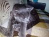 IMG_20190608_153829.thumb.jpg.19bd2c8ead81ea33010f198792ef02e7.jpg