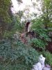 IMG_20190618_204657.thumb.jpg.6aa47d7c48214a895b26b14b335c6dca.jpg