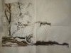 IMG_20190619_235904.thumb.jpg.3e8a2095fbe9d3d4383108af93ca3232.jpg?1561125921691