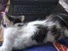 IMG_20190620_110656.thumb.jpg.0568e1503904ecaceeb82ce70dd48796.jpg
