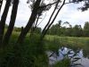 IMG_20190623_153421.thumb.jpg.ce91cb7b68c298dd567a561f76ba3ee3.jpg