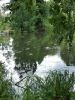 IMG_20190623_162131.thumb.jpg.5fc3a1b4083ed325626a34782df0a7e5.jpg
