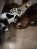 IMG_20190623_202127_HHT.thumb.jpg.8e04150db244f6ea377cd936ecc04f5c.jpg