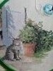 IMG_20190624_044348.thumb.jpg.36b23db686af0dddfd5f43e55b07297a.jpg?1561352029707