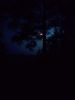 IMG_20190624_082935.thumb.jpg.66f6b739499ba70213a5b07738b3b819.jpg