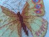 IMG_20190625_132244.thumb.jpg.8657550a15f9dfaa168a8fd466f3b3f3.jpg