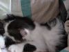 IMG_20190625_144504.thumb.jpg.d6b0545ff172a5cf8b8a729b4cc08c5b.jpg
