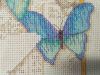 IMG_20190630_083956.thumb.jpg.b67a96bc83ec194d710be679071c6757.jpg
