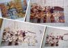 MyCollages.thumb.jpg.059b36203ac3eaf2c751f31b9116915e.jpg
