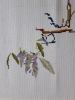 Wisteria.thumb.jpg.7e7400c27066a3859bf59919102d3a45.jpg