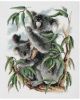 b0efa5c423f3eda1300b99623006b610--counted-cross-stitch-kits-cross-stitch-charts.thumb.jpg.06e4b618fc40deea2fe9c4f3442fb30e.jpg