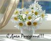 dayname_ru_643.thumb.jpg.201d49862604e59de2147bde0e72057a.jpg