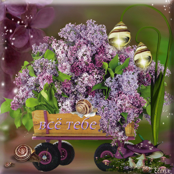 image_862606151633026344370.gif