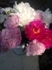 t86ZsoI_6-4.thumb.jpg.4cded44be2831d6d7b894fd7c7118b17.jpg