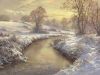 winter_gold.thumb.jpg.535687f832debbd5535fe8d5b003f202.jpg