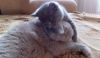 1646910523_2018.thumb.jpg.17d1f8c428aa180239dad6f80b51dd57.jpg