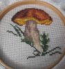 20160926_214444.thumb.jpg.bd864adde4468ec3ceb787ff61b87fbd.jpg