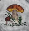 20160926_235213-1.thumb.jpg.88c1a6cd2cecaf4a7ed1d349a36facf2.jpg