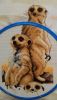 20190505_181941.thumb.jpg.4c228e5ee958c8536ff2324225848b0e.jpg