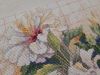 20190517_231336.thumb.jpg.c25181bed6904a458e2c06fae5ba9b39.jpg