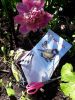 20190622_115811.thumb.jpg.b8a945fb37611fa502aad9bffee39ce2.jpg