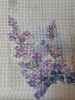 20190623_135327.thumb.jpg.f4bff55a08325f5810f5efd256c7e29c.jpg