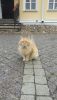 20190629_105602.thumb.jpg.da95b8faa3cc6e363b455e1b944beffa.jpg