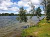 20190629_124540.thumb.jpg.20a171774deb5cebe22f2235d446aa3d.jpg
