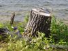 20190629_124834.thumb.jpg.cd57f9a7f096f7fb260a4900e60551d3.jpg