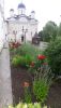 20190629_125129.thumb.jpg.eee73ebb5253b4ecb3d9bc66fb0839e5.jpg