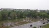 20190629_134150.thumb.jpg.fe4d4916fe6535f48e3a39d8dc41cced.jpg