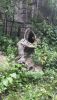 20190629_154900.thumb.jpg.dbdc6ee765635b8e6afb1cea559dee82.jpg