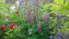 20190629_172946.thumb.jpg.979fd2cb2f2b3e8850d91030c8989f63.jpg
