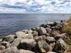 20190630_131802.thumb.jpg.89f12751b39e2312890aeb357421fede.jpg