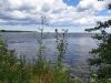 20190630_142720.thumb.jpg.64f8f8689830aed546e181c12a644248.jpg