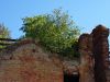 20190630_161029.thumb.jpg.7cc7f8d6ccf211ba1563250a302a0ae6.jpg