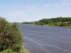 20190701_110422.thumb.jpg.f0820ed52ae6086dba904fe34bacf717.jpg