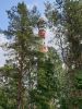 20190701_141439.thumb.jpg.32dfeb9eef22ccbda4e32163c5c9f35b.jpg