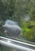 20190701_145923_HDR.thumb.jpg.4666ca720aa0b013ee753ff41187f93c.jpg