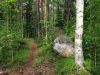 20190702_162849.thumb.jpg.1b5914e8d95433b6c8acd488a639a817.jpg