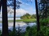 20190702_165907.thumb.jpg.bd0c86243acca22ade2f32e9a8ab1c6a.jpg