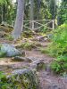 20190702_174729.thumb.jpg.208e6edcb0e729ce4bc226c345e5c73a.jpg