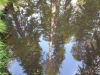 20190702_174944.thumb.jpg.da0281f426ee337e5d6c815507dbfe89.jpg