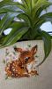 20190704_093953.jpg