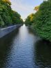20190704_212350.thumb.jpg.e4657091ac81f160255481b199589571.jpg