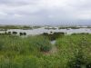 20190705_145718.thumb.jpg.f938e48a293c66ccfdd11fe774aa0a94.jpg