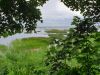 20190705_145910.thumb.jpg.335d198dadf0adcee2e00d8547b687d2.jpg