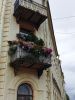 20190705_172452.thumb.jpg.288414ede2cec380b15d391d56523e6e.jpg
