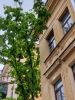 20190705_173039.thumb.jpg.83adaa3b6d1c9f3029b0fba6073dff79.jpg